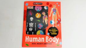 Human Body Factivity Magnetic Folder & Book With Magnets & Board to Learn For Kids