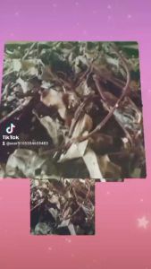 Cây Lá Hà Thủ Ô Khô /2kg