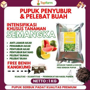 Pupuk Semangka Yang Ampuh / Pupuk Semangka / Pupuk Untuk Buah Semangka / Pembesar Buah Semangka / Pupuk Pembesar Buah Semangka