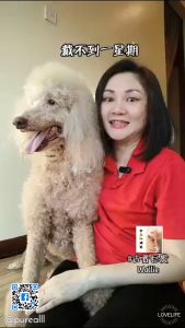 Extra Powerful | Large | Pet health | Pain Relief | Emotional | Cat Dog Pet Cute Pendant