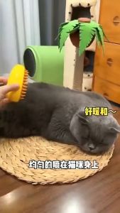 Lovinland Pet Brush Scraper Floating Hair Sticking Device Cat Spray Hair Removal Brush Electric Hair Removal Brush Free Wash Spray Pet Supplies Must Have for Hair Changing Season