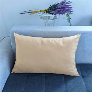 Pure Color Beauty Bed Pillow Core Cover Foot Massage Bathing Beauty Therapy Single Person Dormitory Hotel Rectangular Pillowcase