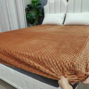 Warm Insulated Simple Plush Velvet Bed Fitted Sheet