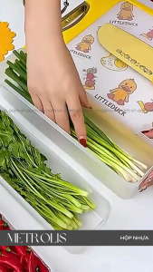 HỘP DỰ TRỮ ĐA NĂNG METROLIS - Hộp đựng trứng mỳ ý rau củ hạt