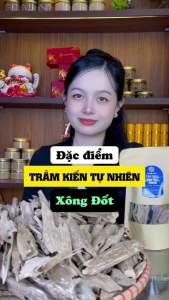 Trầm hương miếng tự nhiên tốc kiến nguyên chất cao cấp tinh dầu xông đốt mùi thơm ngọt Sơn Mộc Hương