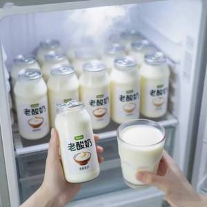 Sugar Free Low Fat Yogurt 24 Boxes
