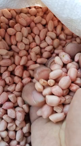 BENIH KACANG TANAH OLAH PILIHAN KUALITAS UNGGUL (500 GRAM)