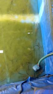 PALET / MAKANAN UDANG / LOBSTER AIR TAWAR(30% PROTEIN) REPACK 1KG DINDINGS 2203