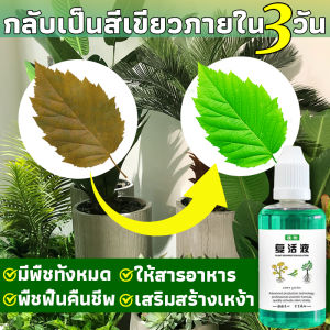 จากเหลืองเป็นเขียวใน 3 วัน ปุ๋ยน้ำ ยาเร่งราก สารละลายธาตุอาหารเข้มข้น บำรุงพืชทุกชนิด บำรุงราก บำรุงต้น บำรุงใบ เร่งดอก ปุ๋ยบำรุงดอกใบ  ฟื้นต้น ต้นโทรม ใบเหลือง