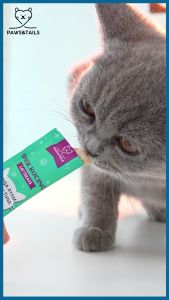 50pcs 100pcs High protein cat strips snack enhance physical fitness and improve immunity(Chicken+Vitamin)