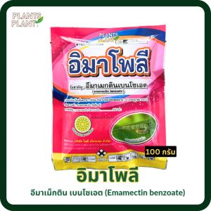 อิมาโพลี 100กรัม อีมาเมกตินเบนโซเอต (emamectin benzoate) สารกำจัดแมลง สัมผัสและดูดซึม กำจัดหนอนดื้อยา เพลี้ยไฟ ด้วง
