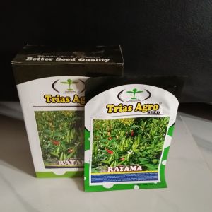 Benih Cabai Rawit Hijau Jumbo Lebat Rayama F1 (Produksi Tinggi Tahan segala cuaca) Kemasan 10 Gram (±2000 Butir) Bibit Cabai Hijau RAYAMA F1 - TRIAS AGRO