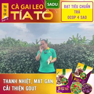 Trà túi lọc cà gai leo Tía Tô Sadu gói 1 kg ( Combo 2kg tặng 1 gói 250g)
