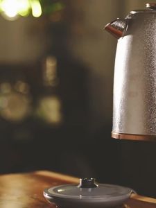 bargaim | Pure Titanium Fast Electric Kettle