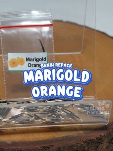 Benih Bunga Marigold Orange biji keriting hijau bibit hydroponik hidroponik oranye sayuran sayur marigol tanaman hias