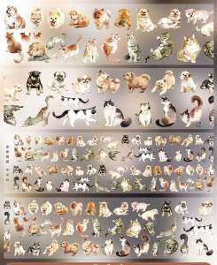 PET tape roll sticker 21