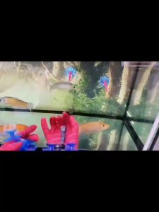 Kids Spider Man Gloves Toys Spider Silk Shooting Dart Launcher Boys Fun Avenger Slingshots Toy Gift Set