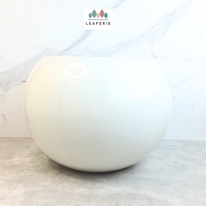 The Leaferie Aura Big plant pots Ceramic flowerpot flowerpots flower pot planter planters