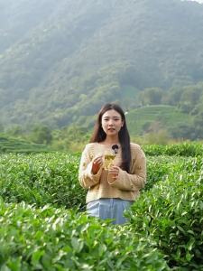 Trà Xanh Longjing Mùa Xuân Mới 2025 250g