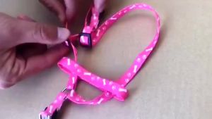 Pet Dog leash harness leash