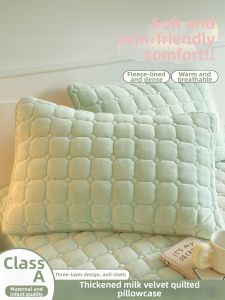MENGWEIJUE | Winter Coral Fleece Pillow Case 48cmx74cm