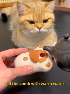 3-in-1 Grooming Brush: A Comprehensive Guide for Indoor Cat & Shedding Dog Care