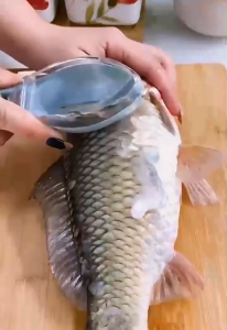 MITI4 พร้อมส่ง เครื่องขูดเกล็ดปลา ที่ขอดเกล็ดปลา แบบใช้มือ มีกล่องเก็บเกล็ดปลา ไม่เลอะมือ เครื่องมือในครัว COD MITI246