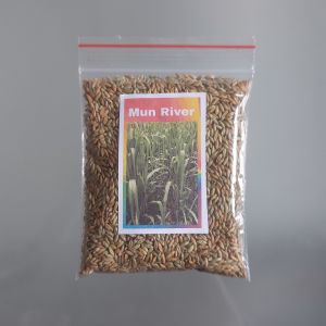 Mun River 6000 Seeds Per Pack