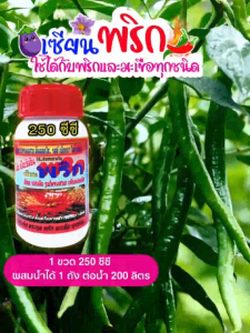 เซียนพริก 250ซีซี พริกติดดอก ผลดก ขั้วเหนียว สีสด รสดี เนื้อหนา น้ำหนักดี ปุ๋ยพริก ยาฉีดพริก ฮอร์โมนพริก