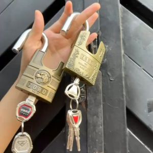 Ổ khóa cửa ZORO 6 phân chống cắtkhóa bấm không cần chìa chống nước chống gỉ.hàng chính hãng