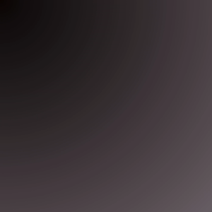 SSD M.2 NVME OSCOO GEN 4 GAMING WITH HEATSINK 512GB