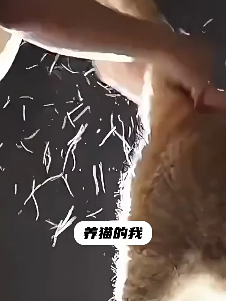 Laundry Sticky Lint Pad Washing Machine Pet Fur Catcher Clothes Hair Clean Dirty Fibers Collector