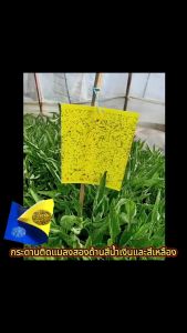 แบบสุดฮอตล่อแรง100% สีน้ำเงิน+กาวดักแมลงสีเหลือง สองหน้า กาวดักแมลง แผ่นกาวดักแมลง 20x25cm. แพ็ค 20 แผ่น กำจัดแมลง แมลงหวี่ขาว เพลี้ย เพลี้ยไฟ ด้วงหมัด แมลงเม่า รอ กาวดักแมลง แผ่นพลาสติก เคลือบกาว คุณภาพดี ใช้งานได้นาน ฆ่าศัตรูพืชทุกชนิดในคราวเดียว