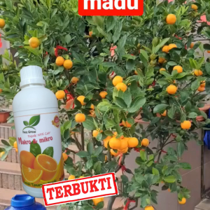 Pupuk Cair 500 ml Booster Jeruk Agar Cepat Berbuah Lebat manis| Pelebat Pemacu Bunga anti rontok