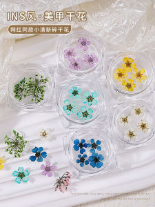 Mini Five-Petal Dry Flower Nail Art Decorations DIY Nail Accessories Popular Internet Celebrity Beauty Tools from China