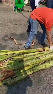 【NEW ARRIVED】CHUANGCHAO Banana Machine Banana Tree ShredderBanana Tree Crusher Home Small 220v Electric Grass Cutter Cattle And Sheep Breeding Grass Cutter