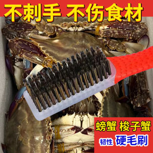 Powerful Cleaning Oyster Crab Brush Steel Wire Manual Handheld Hard Bristle Brush for Kitchen Household Cleaning Tools