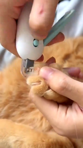 2-in-1 Pet Nail Trimmer with Adjustable Hole Professional Clipper for Dogs and Cats Grooming Tool for Puppy and Kitten Care Pemangkas Kuku Haiwan 2-dalam-1 dengan Lubang Boleh Laras Gunting Profesional untuk Anjing dan Kucing Alat Penjagaan untuk