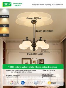 DGY | Black Modern Chinese French Retro High-end LED Eye-protecting Ceiling Light