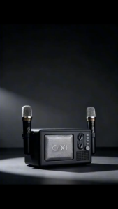 Loa karaoke bluetooth QIXI SK-3111 với micro không dây và âm thanh rõ