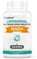 🇺🇸พร้อมส่ง🇺🇸 Liposomal NAD+ Supplement 500 mg, High Absorption 60 softgels. 