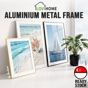 SG Aluminum Alloy Picture Frame — Metal Photo Frames Poster Art Painting Home Decor Wall Decoration 6R 30x40cm A4 A3