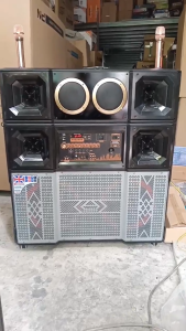 Bo Mạch Loa Kéo Nguồn Xuyến đánh Bass 40 đôi 5 Tấc đơn Mạnh Mẽ có Echo delay T21 kích thước 19 * 38