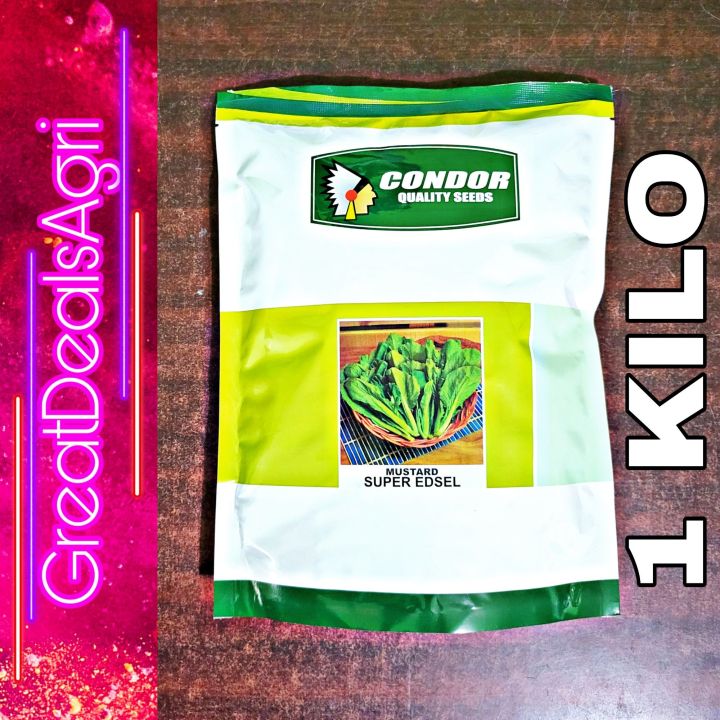 SUPER EDSEL OPV MUSTARD / MUSTASA SEEDS (1KILO) CONDOR SEEDS | Lazada PH