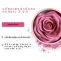 3D Petal Rose Makeup Blush 4 สีของขวัญ Highlighter Rare Beauty Blush ยาง Forma Rosa Real Rose ดอกไม้ Blush Shimmer แต่งหน้า. 