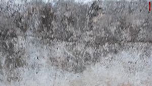 Multifunctional Hoe High Manganese Steel Agricultural Sickle Shovel Hoe Can Cut Dig Pruning Tools