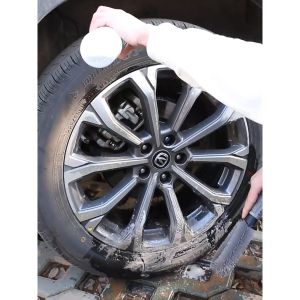 Chổi cọ rửa vành xe ô tô - Chổi cọ rửa lazang xe hơi Y