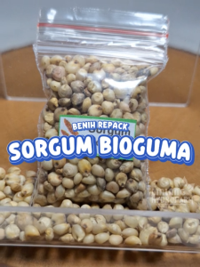 Benih Sorgum Bioguma Unggulan Berkualitas biji bibit repack sayuran sayur cantel hydroponik hidroponik tanaman pot