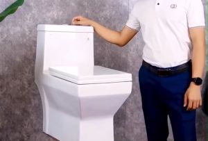 Nắp đậy Bồn Cầu Một Khối Viglacera V42 Nắp Êm kt 360x460mm ( Rộng x Dài)