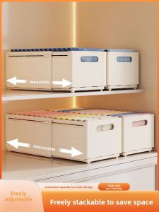 NIGESI | Expandable Drawer Organizer Storage Box
